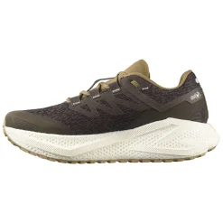 Allt Under Herrskor|Allt Under Löpning | Salomon Aero Glide 3 GRVL Herr