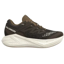 Allt Under Herrskor|Allt Under Löpning | Salomon Aero Glide 3 GRVL Herr