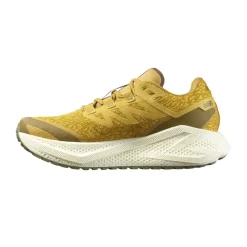 Allt Under Herrskor|Allt Under Löpning | Salomon Aero Glide 3 Grvl Herr