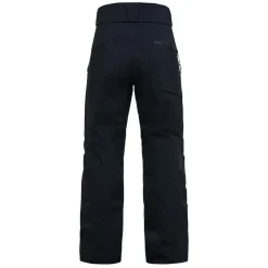 Alpint|Skidkläder | Peak Performance Alpine Gore-Tex Inulated Pant Herr