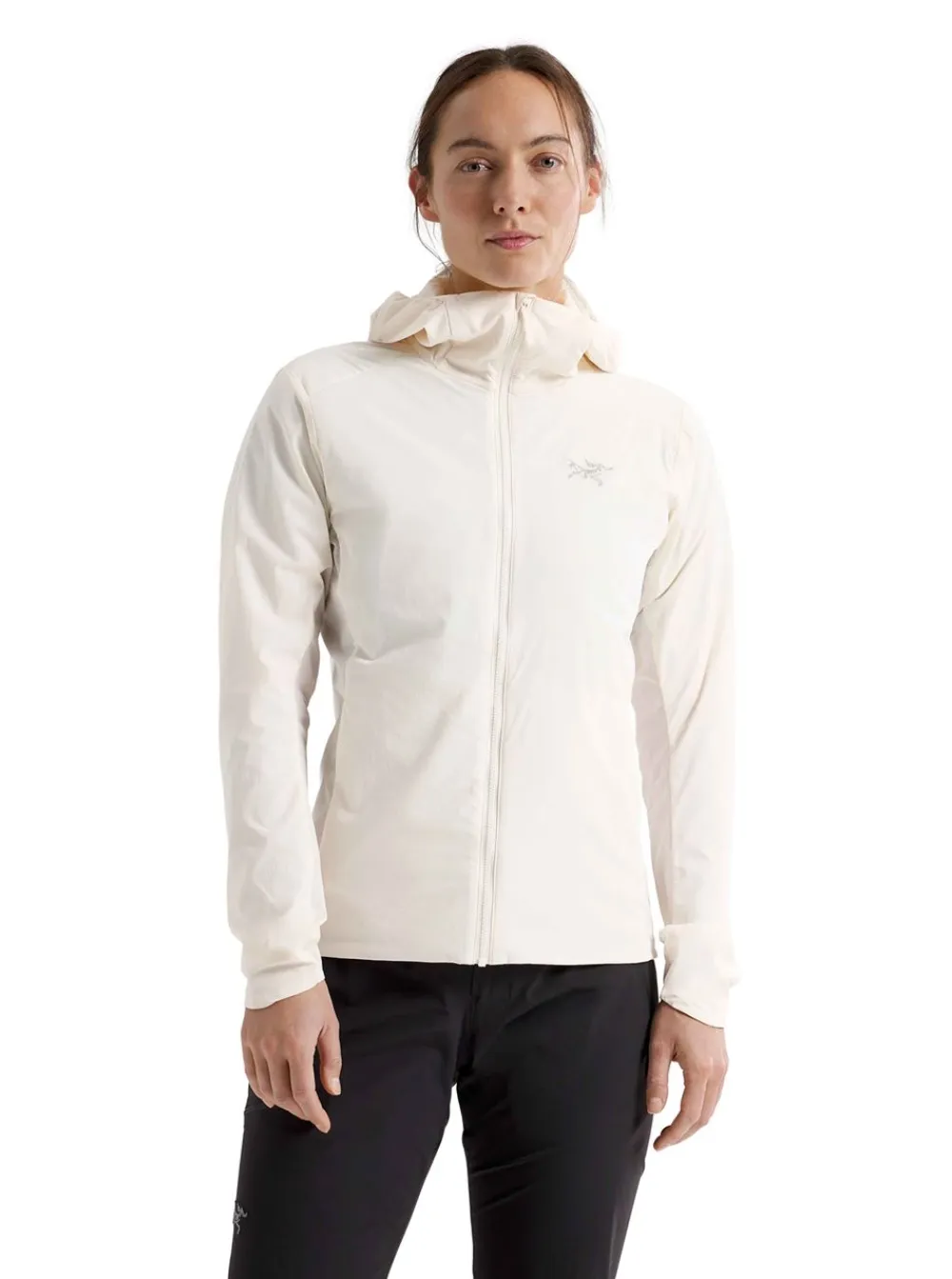 Discount Arc'teryx Atom SL Hoody Dam