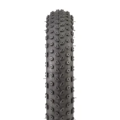 Allt Inom Cykel | Bontrager XR1 Kids 2.25