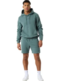 Hoodies|Allt Under Överdelar | Björn Borg BORG CASSIC HOODIE HERR
