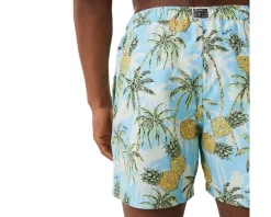 Badkläder | Björn Borg Borg Print wi hort Herr