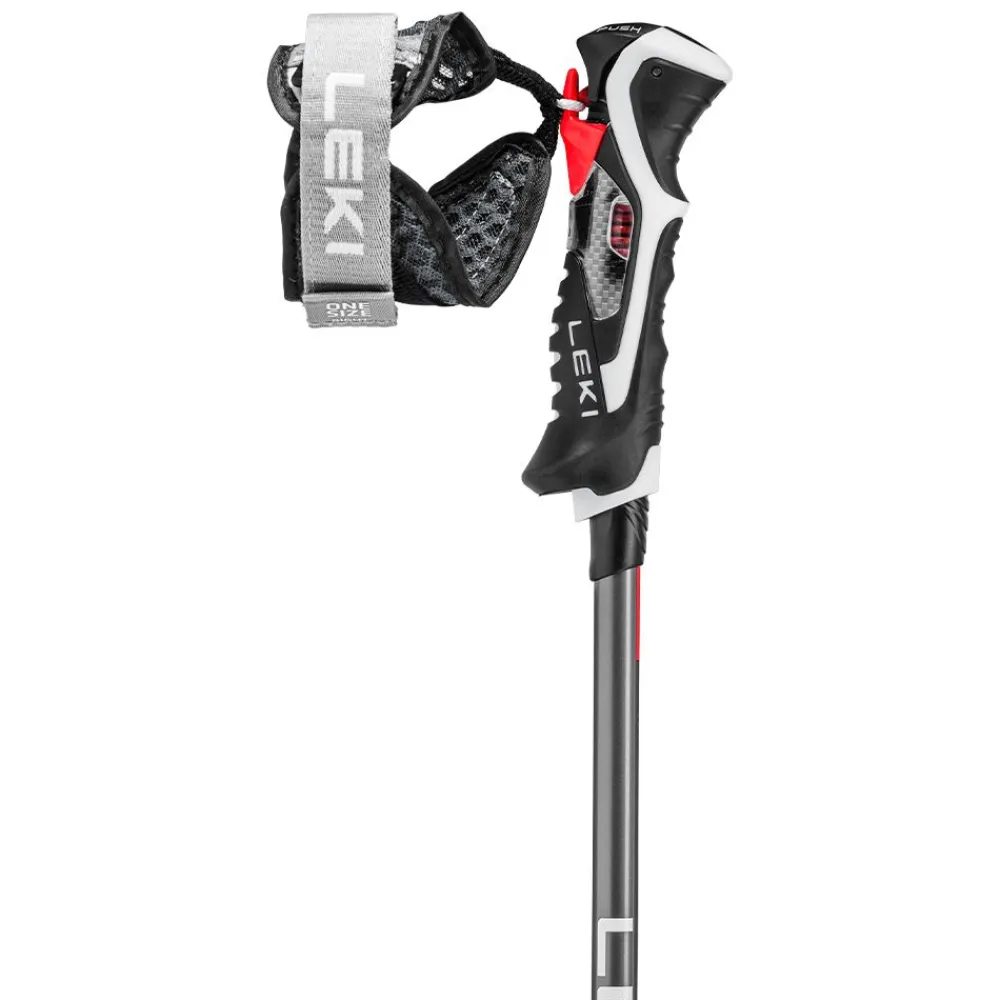 Alpint | Leki Carbon 14 3D