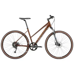 Allt Inom Cykel|Cyklar | Nishiki Comp X-Nine Dam