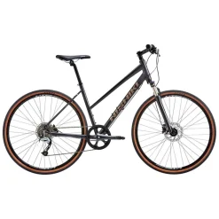 Allt Inom Cykel|Cyklar | Nishiki Comp X-Nine Dam