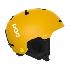 POC Fornix MIPS
