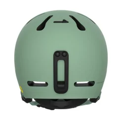 Online POC Fornix MIPS