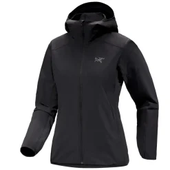 Best Arc'teryx Gamma Lightweight Hoody Dam