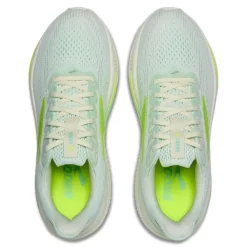 Outlet Brooks Ghost 17 Dam