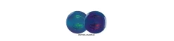 Online Latitude 64 Grand Trust