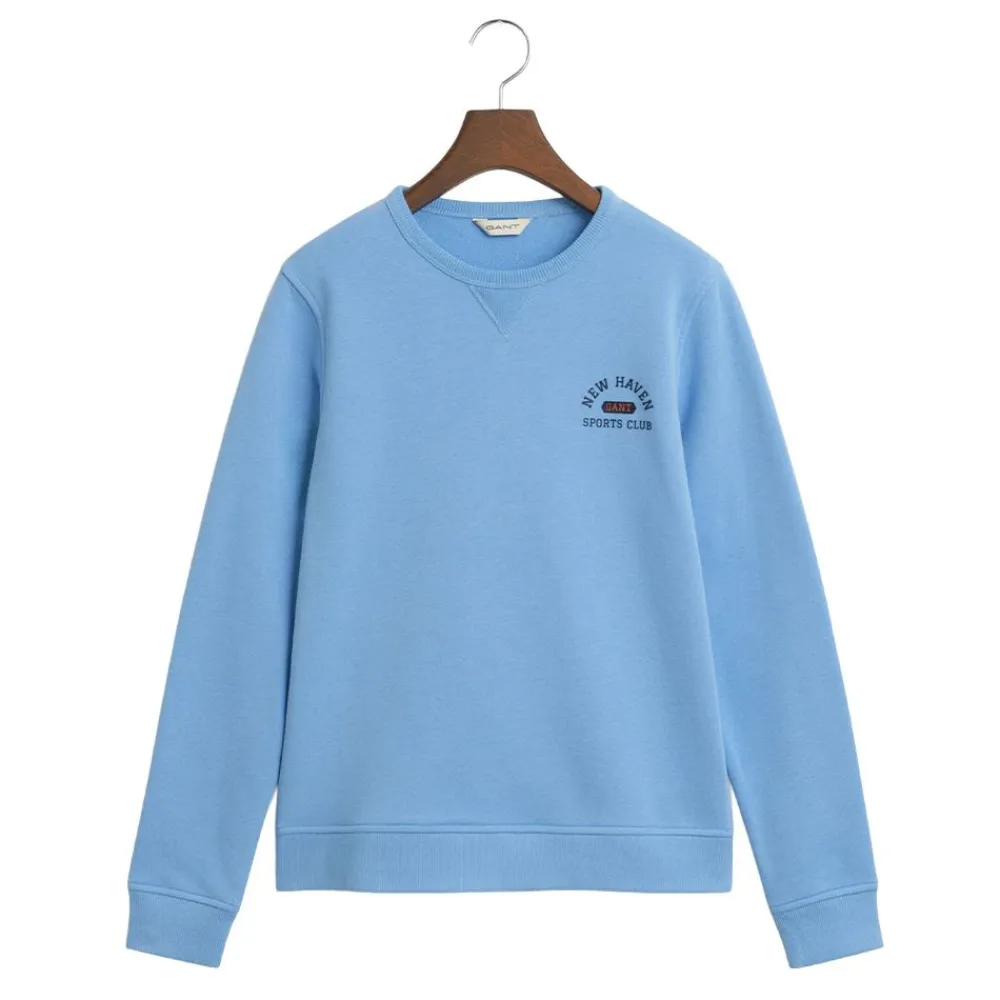 Allt Under Överdelar|Tröjor | GANT Graphic C-neck Sweat Junior