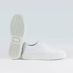 Allt Under Damskor|Sneakers Dam | Sneaky Steve Moore Dam
