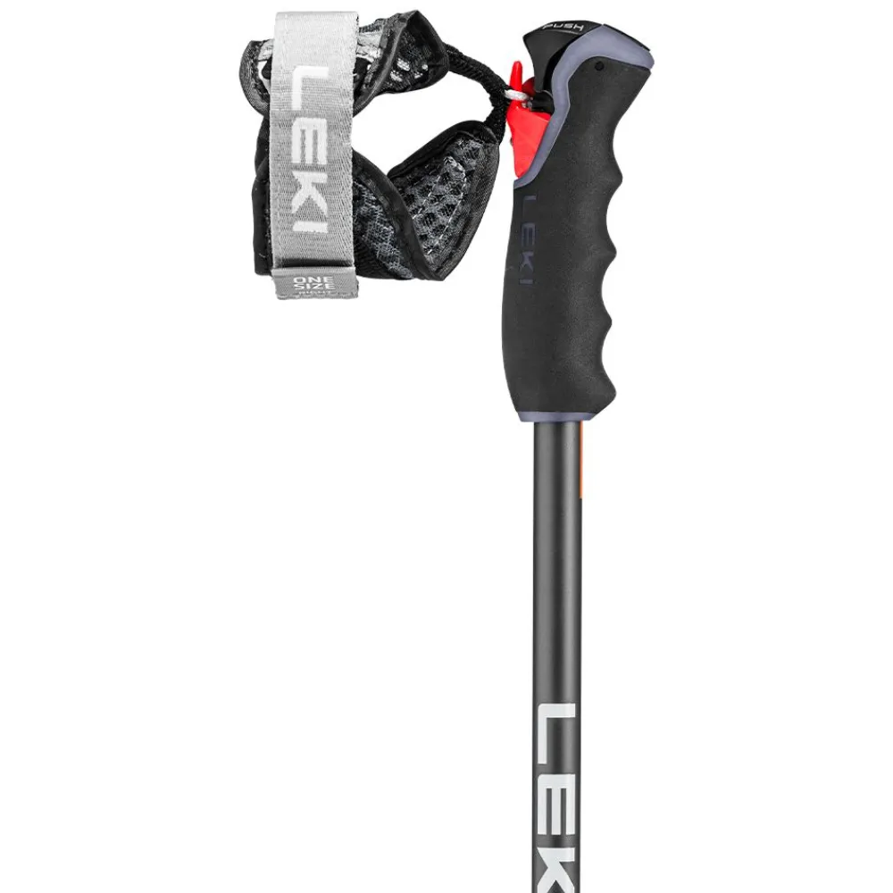 Alpint | Leki Peak Vario 3D