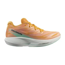 Hot Salomon Phantasm 2 Dam