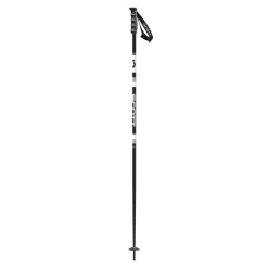 Online Scott Pole Sun Valley