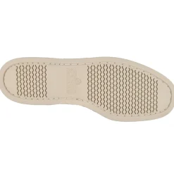 New Sebago Portland Flesh Out Dam