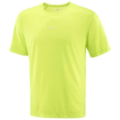 Träningskläder | Salomon hakeout Core Tee Herr