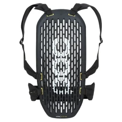 Alpint | POC VPD yte Back