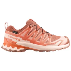 Allt Under Damskor|Allt Inom Outdoor | Salomon XA PRO 3D V9 GORE-TEX DAM