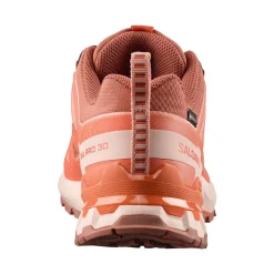 Allt Under Damskor|Allt Inom Outdoor | Salomon XA PRO 3D V9 GORE-TEX DAM