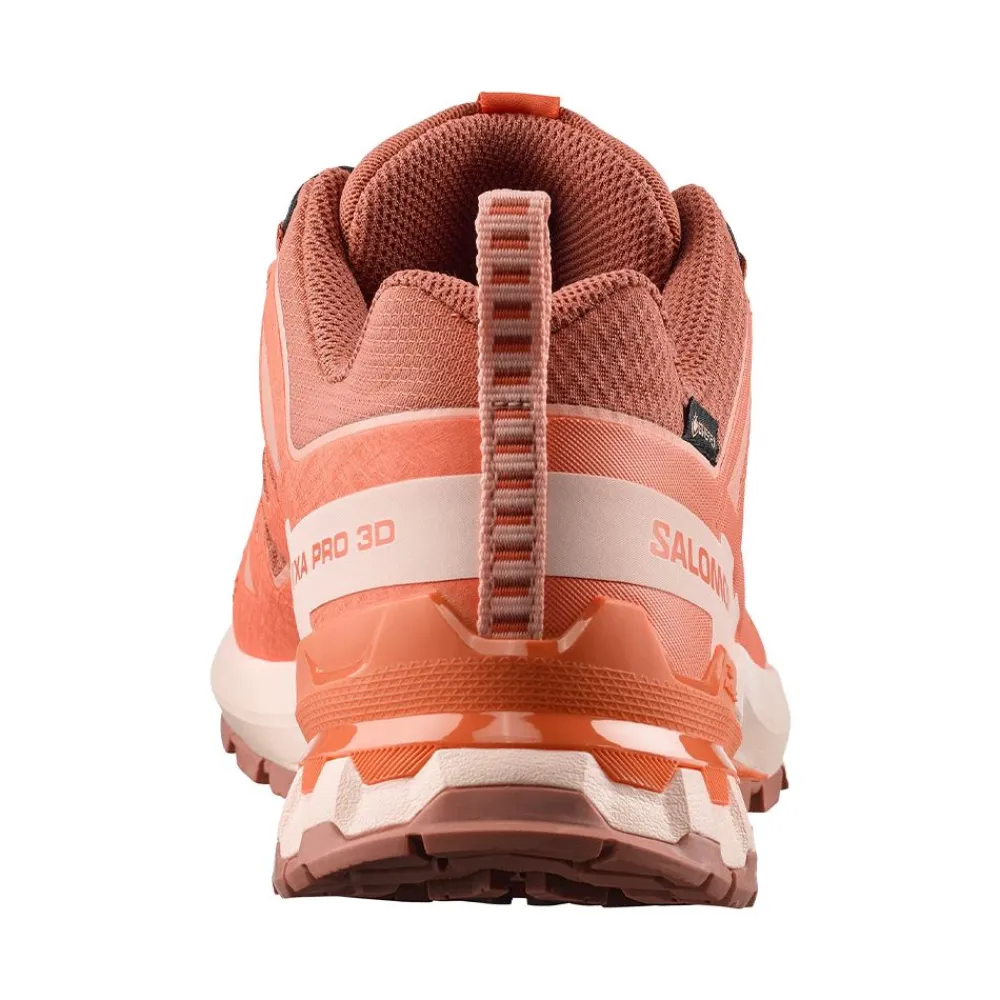 Allt Under Damskor|Allt Inom Outdoor | Salomon XA PRO 3D V9 GORE-TEX DAM