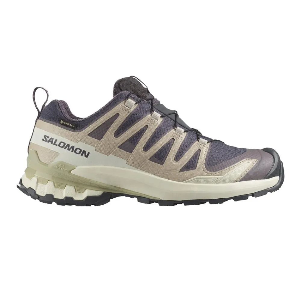 Allt Under Damskor|Allt Under Löpning | Salomon XA Pro 3D V9 Gore-Tex 9 Dam