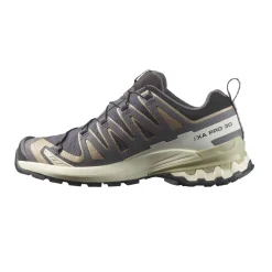 Best Salomon XA Pro 3D V9 Gore-Tex 9 Dam