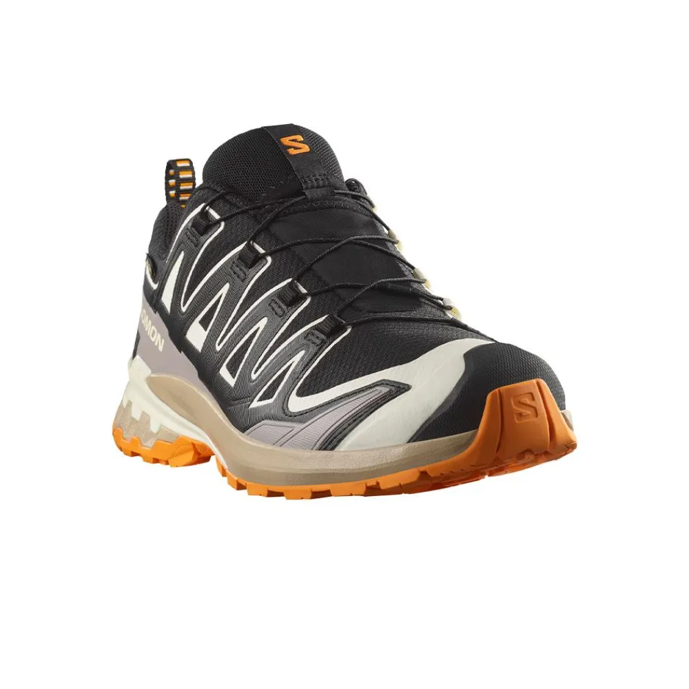 Allt Under Herrskor|Allt Under Löpning | Salomon XA Pro 3D V9 GTX Herr